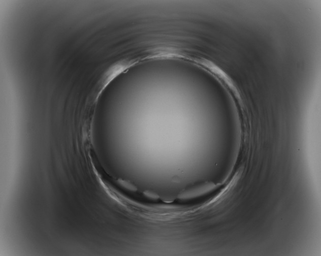 X0000086021385200703301023