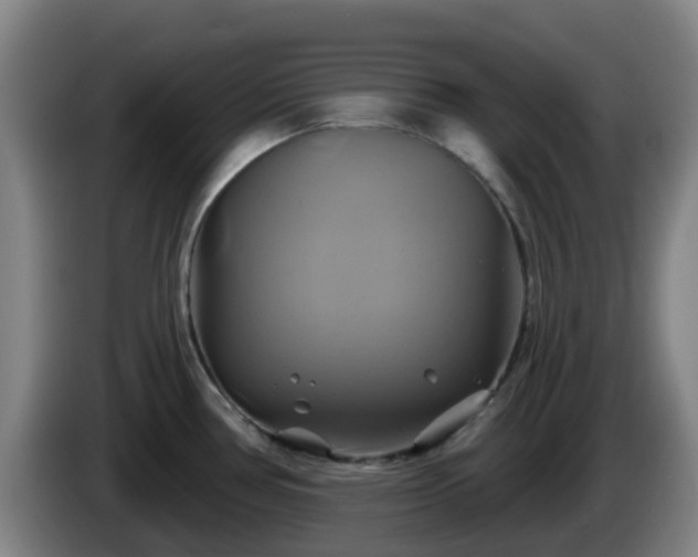 X0000086021386200703301023