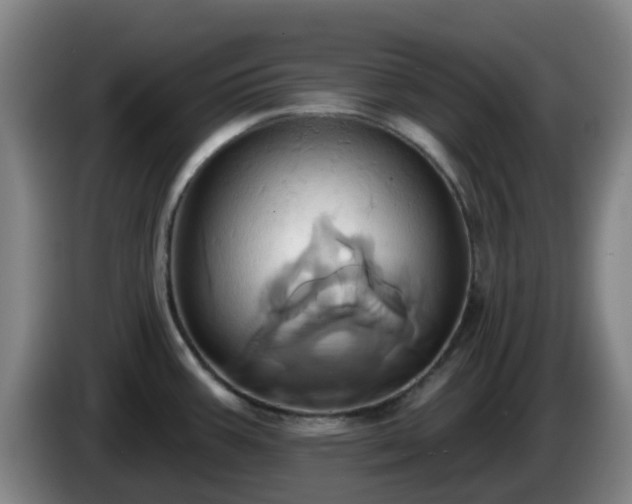 X0000086021387200703301023
