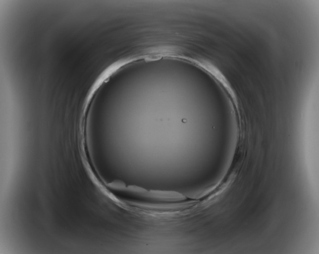 X0000086021389200703301023