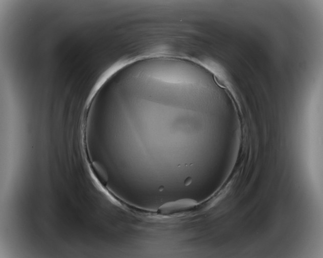 X0000086021390200703301023