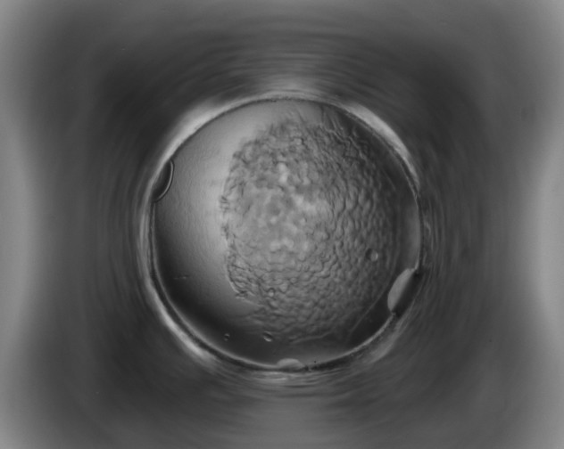 X0000086021391200703301023