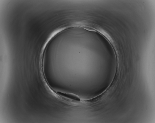 X0000086021392200703301023