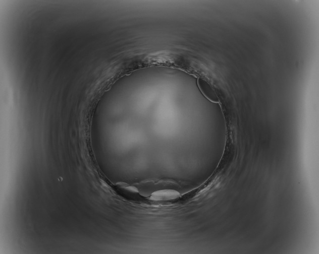 X0000086021393200703301022