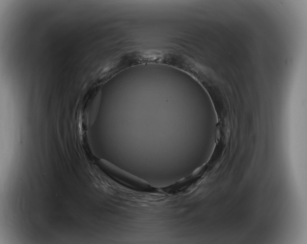 X0000086021394200703301022