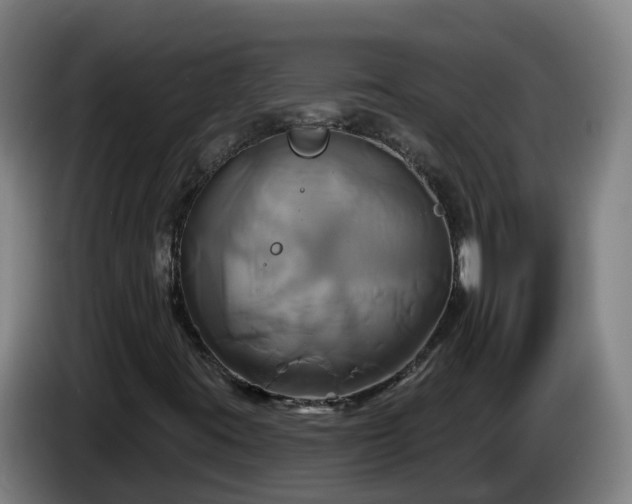 X0000086021395200703301022