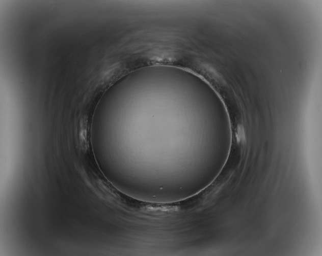 X0000086021396200703301022