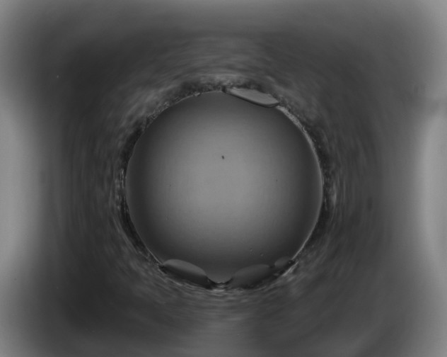 X0000086021397200703301022