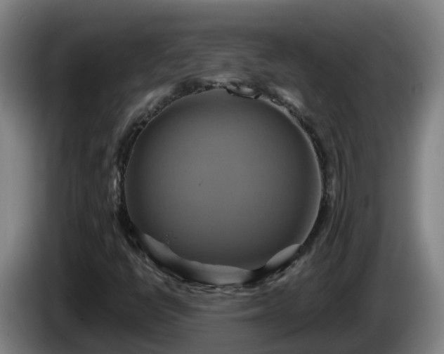 X0000086021398200703301022