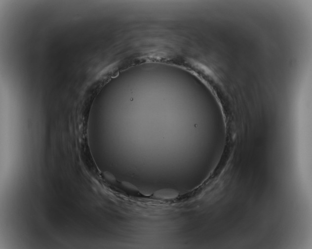 X0000086021399200703301022