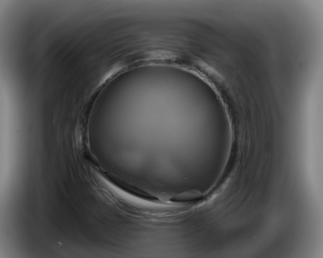 X0000086021401200703301022