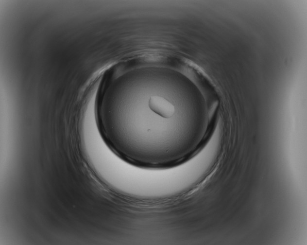 X0000086021402200703301022