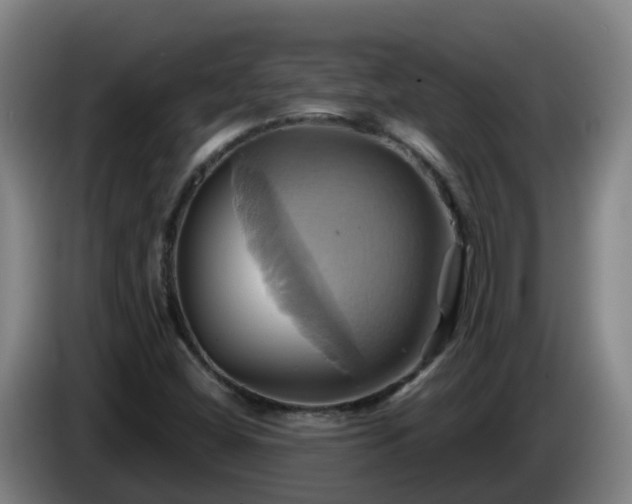 X0000086021404200703301022