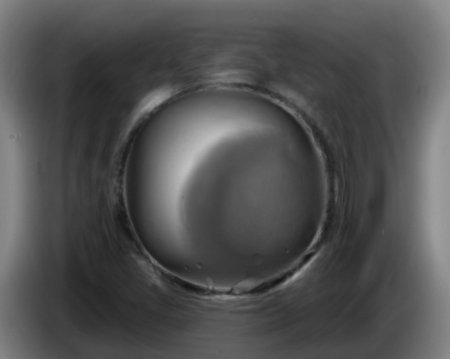 X0000086021405200703301022