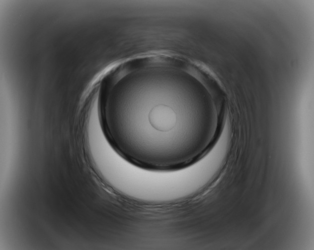 X0000086021406200703301022