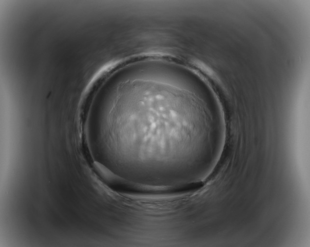 X0000086021408200703301022