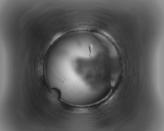 X0000086021409200703301022