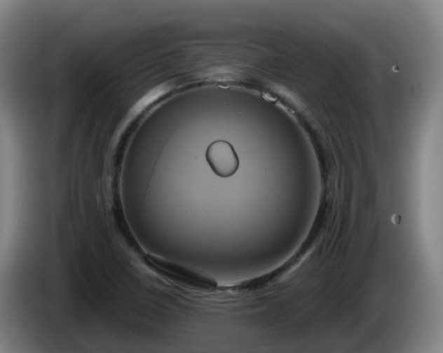 X0000086021410200703301022