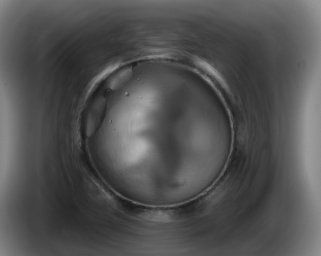 X0000086021411200703301022