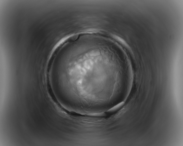 X0000086021412200703301022