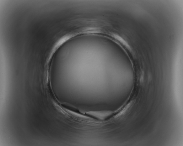 X0000086021413200703301022