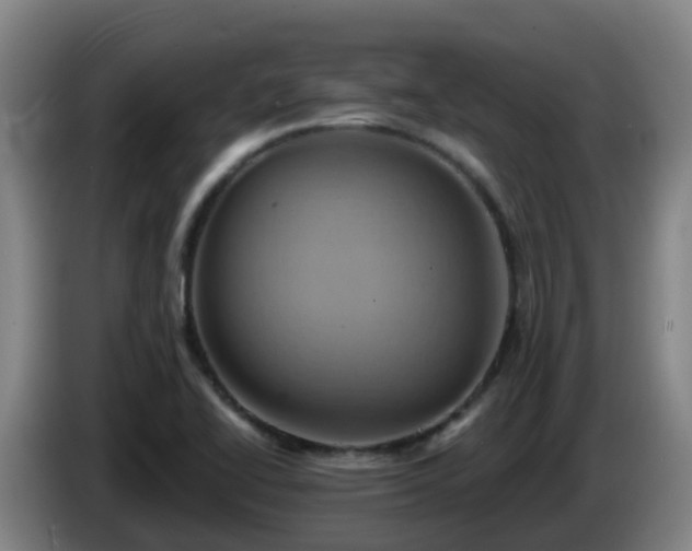 X0000086021414200703301022
