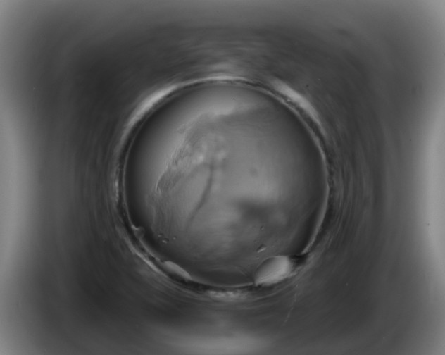 X0000086021415200703301022