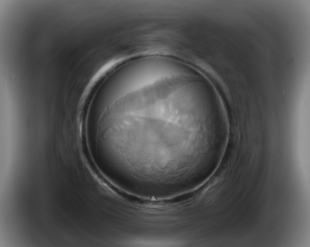 X0000086021416200703301022