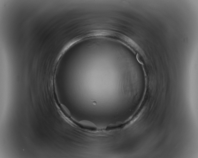 X0000086021417200703301022