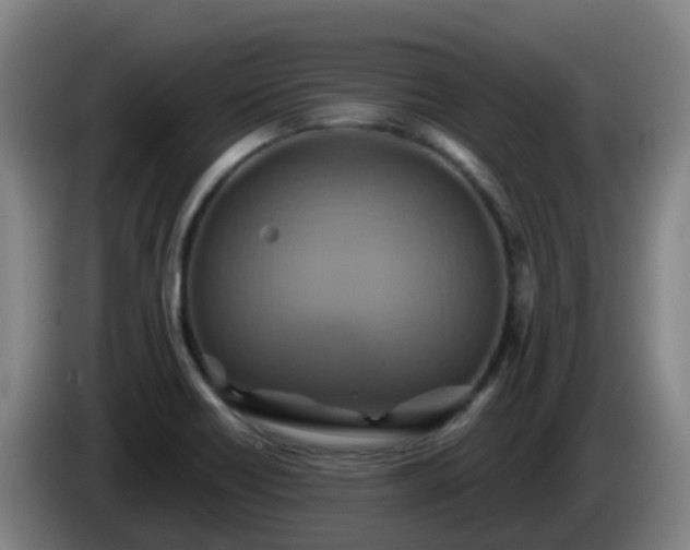 X0000086021418200703301022