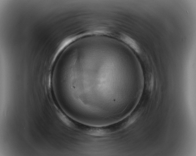 X0000086021420200703301022
