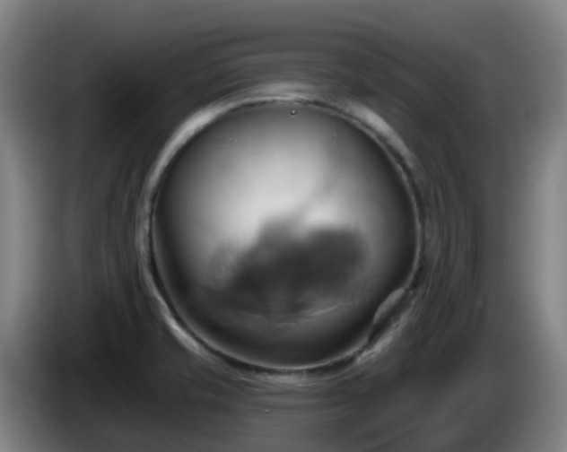 X0000086021421200703301022