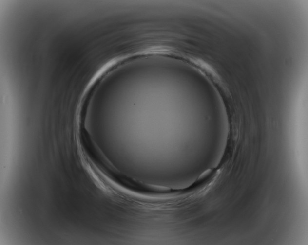 X0000086021422200703301022