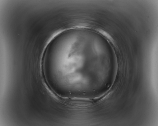 X0000086021423200703301022