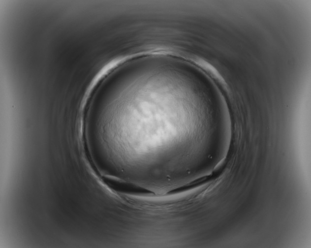 X0000086021424200703301022