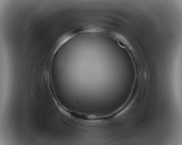 X0000086021425200703301022