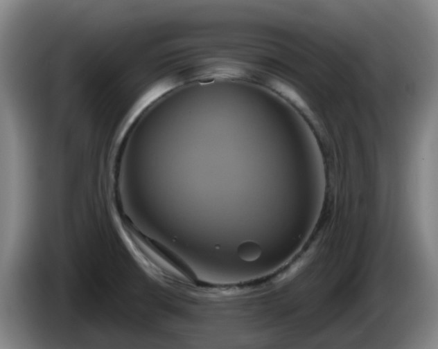 X0000086021426200703301022
