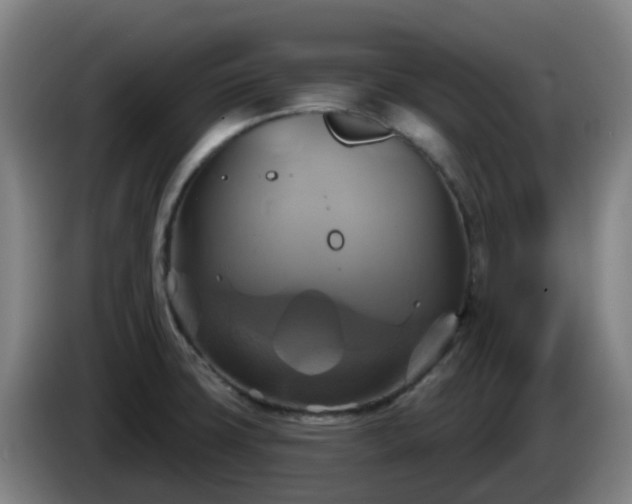X0000086021427200703301022