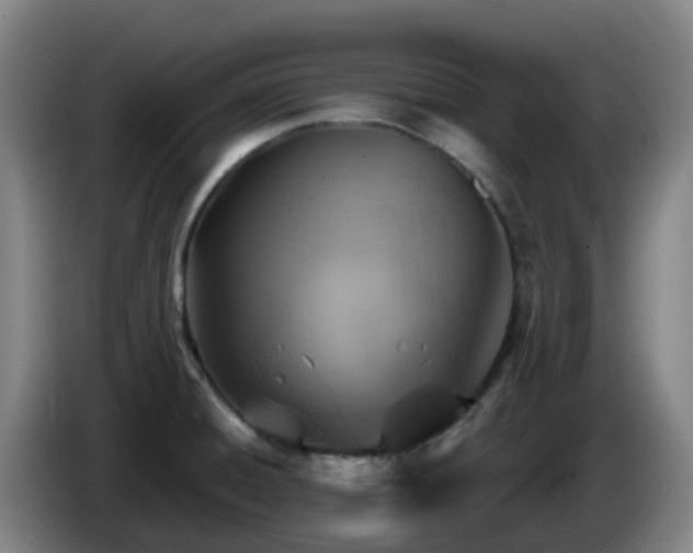 X0000086021428200703301022