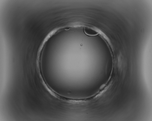 X0000086021429200703301022