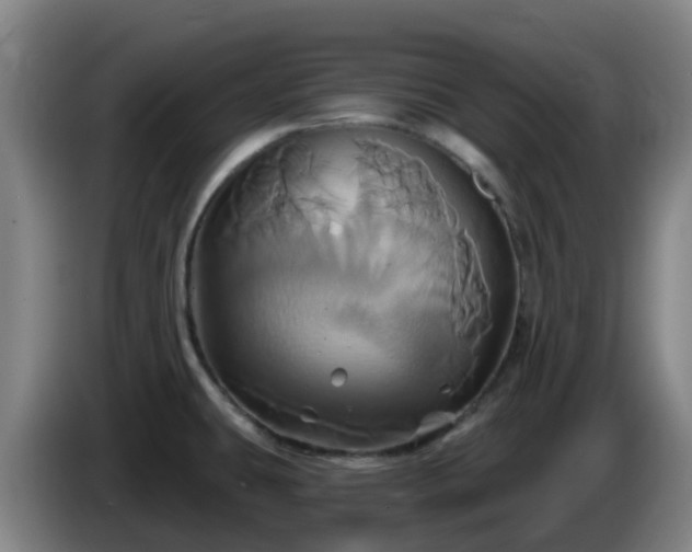 X0000086021431200703301023