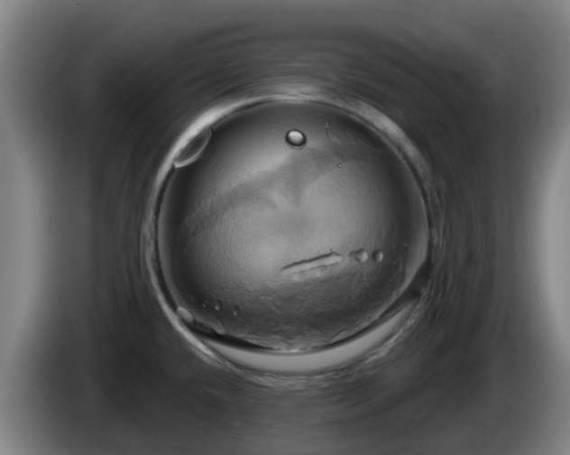 X0000086021432200703301023