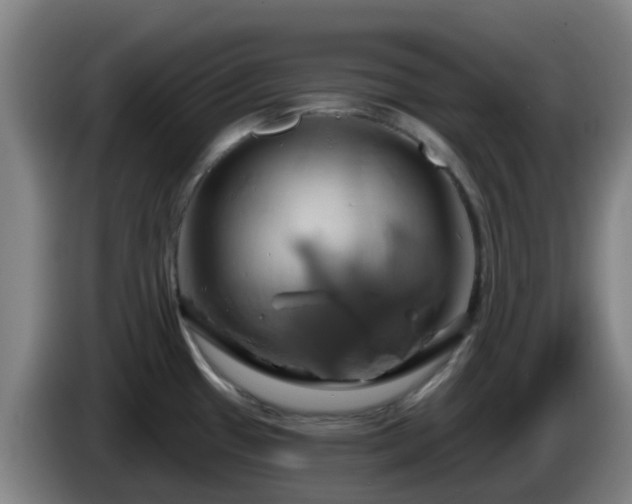 X0000086021433200703301023