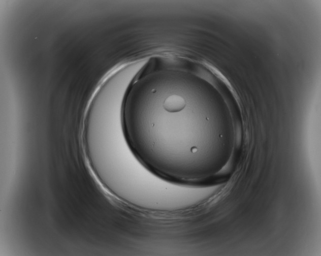 X0000086021434200703301023