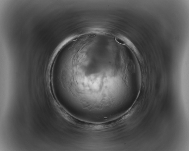 X0000086021435200703301023