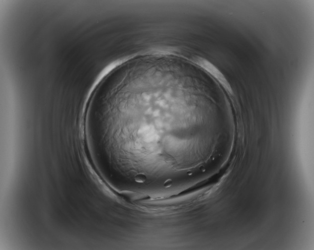 X0000086021436200703301023