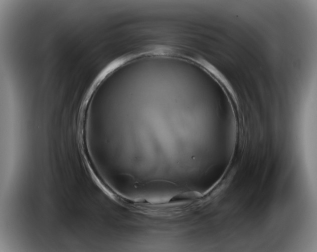 X0000086021437200703301023