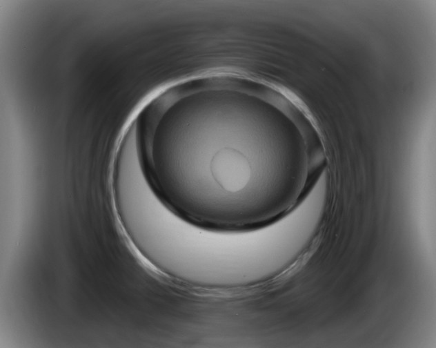 X0000086021438200703301023
