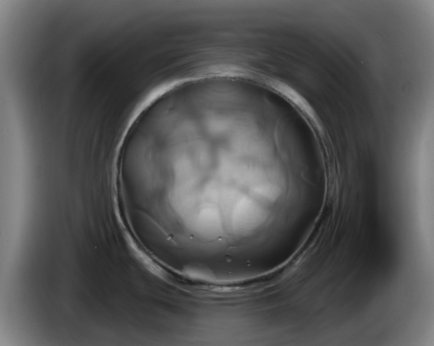 X0000086021439200703301023