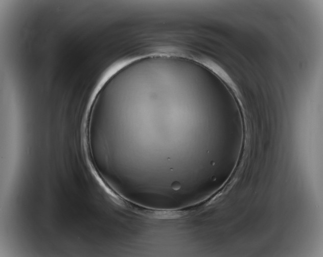 X0000086021440200703301023